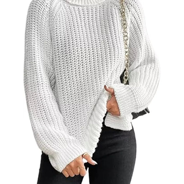 Chunky Knit Turtleneck Long Sleeve Sweater